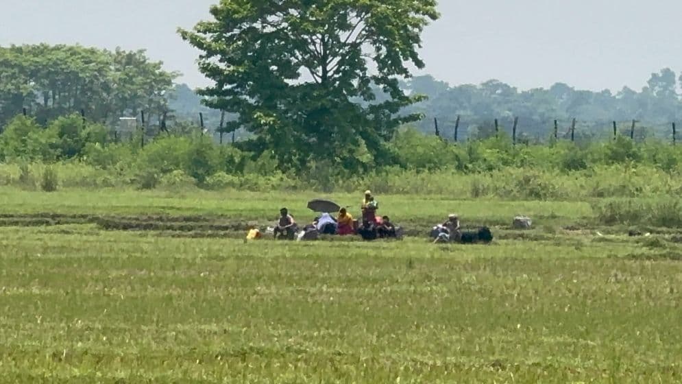 বেনাপোল সীমান্তে ‘পুশইনের’ চেষ্টা প্রতিহত করল বিজিবি