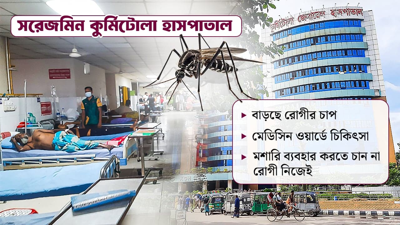 প্রতিদিনই বাড়ছে রোগী, মশারি থাকলেও ব্যবহার করেন না রোগী! image