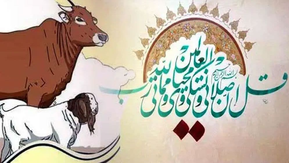 যাদের কুরবানি কবুল হবে নাযাদের কুরবানি কবুল হবে না