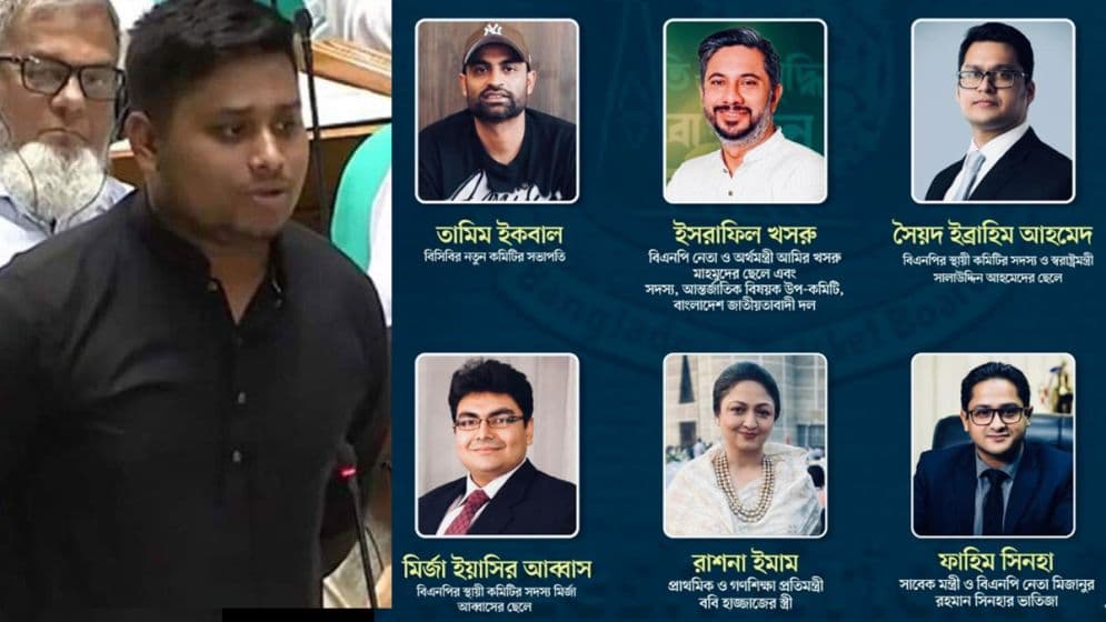 বিসিবি বাপের দোয়া ক্রিকেট বোর্ড: হাসনাত আবদুল্লাহ