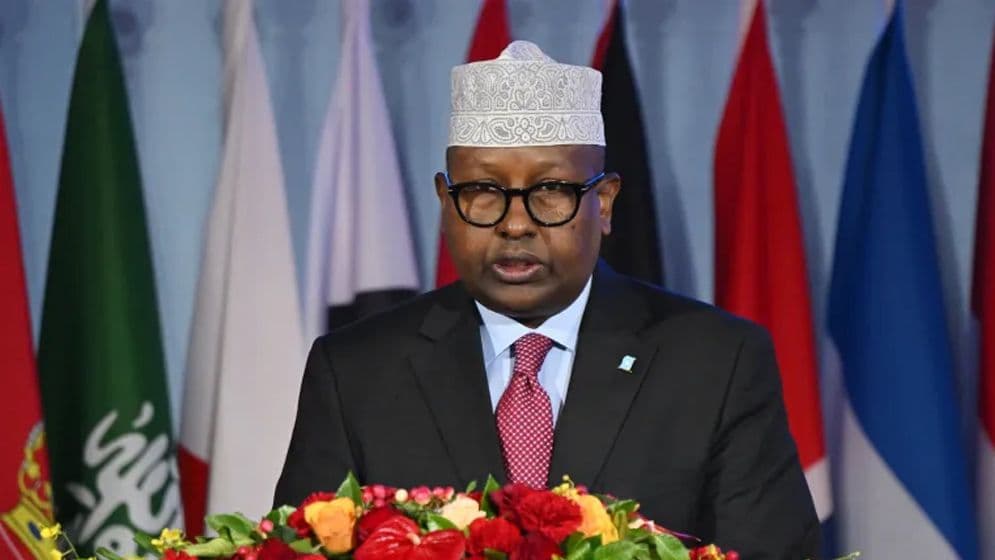 প্রতিরক্ষা চুক্তি স্বাক্ষর করল সৌদি আরব ও সোমালিয়াImage