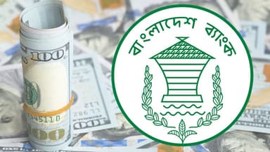 দেশের রিজার্ভ কত বিলিয়ন ডলার, জানালো কেন্দ্রীয় ব্যাংক image