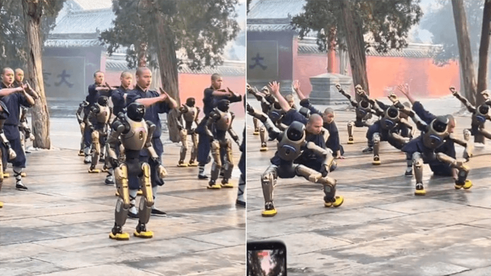 রোবটিক্সে চীনের অভাবনীয় সাফল্য, কুংফু শিখছে রোবট