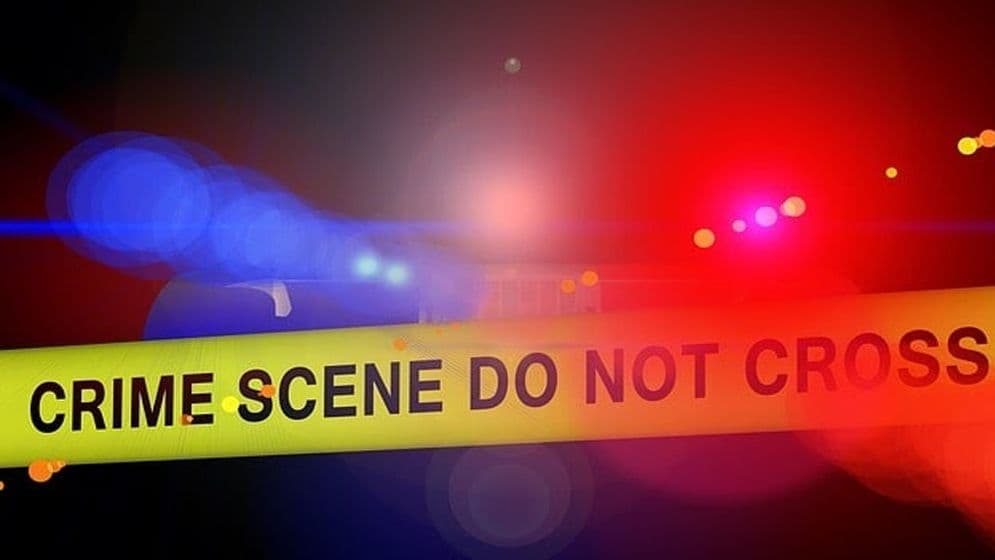 ইতালিতে বৈশাখী উৎসবে বন্দুক হামলা, ২ ভারতীয় নিহত