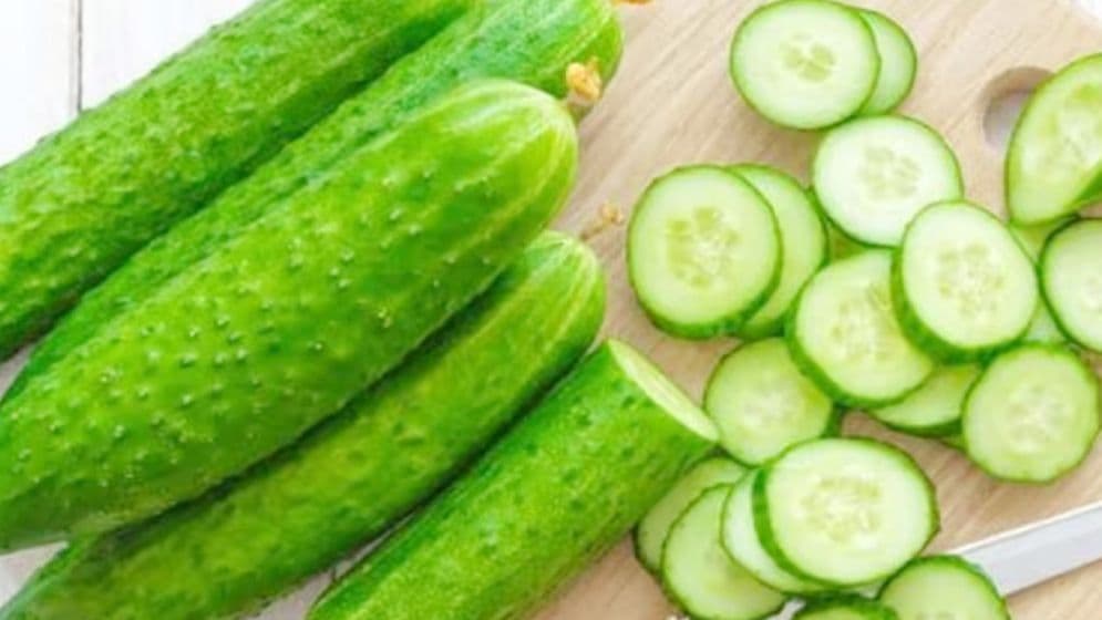 শসার স্বাস্থ্য উপকারিতা ও সতর্কতা সম্পর্কে জানুন image