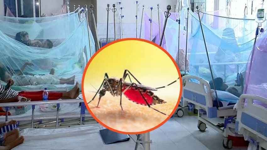 ডেঙ্গুর থাবায় প্রাণ গেল আরও ৪ জনের