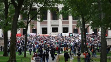 হার্ভার্ডের বিরুদ্ধে ১ বিলিয়ন ডলারের বিশাল ক্ষতিপূরণ মামলা করবেন ট্রাম্প image