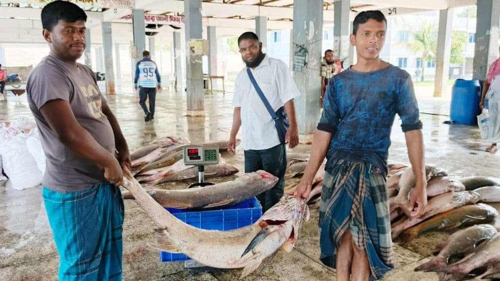 ২৮ লাখ টাকায় বিক্রি ১৪৪ লাক্ষা