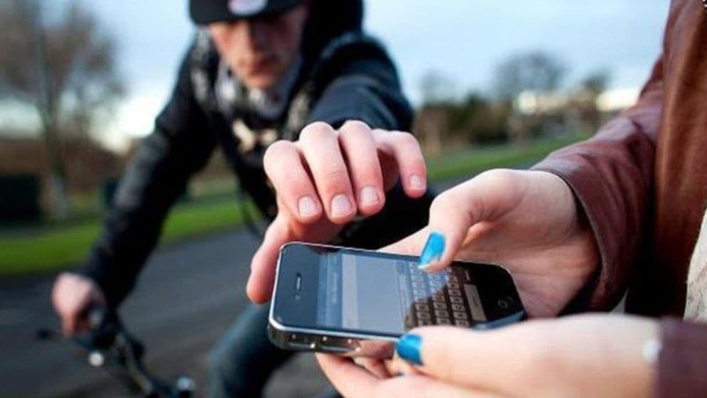 শহীদ মিনারে ১২ মোবাইল ফোন চুরি, উদ্ধারে চেষ্টা চালাচ্ছে পুলিশ