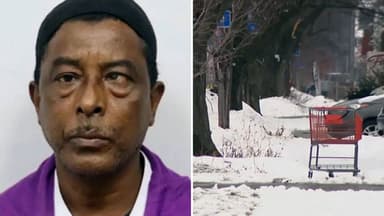 যুক্তরাষ্ট্রে শীতে মারা গেলেন বাংলাদেশি অন্ধ শাহ আলম image