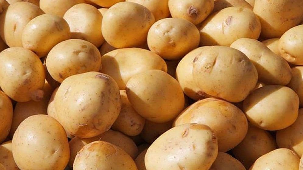 বাংলাদেশি আলু রপ্তানির জন্য ভিয়েতনামের বাজার উন্মুক্ত image