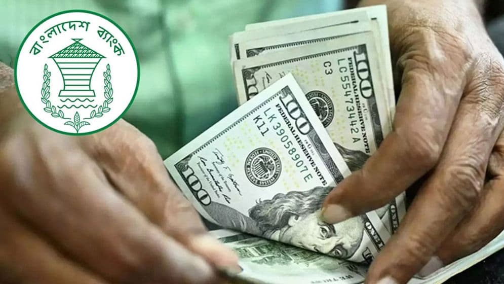 জানুয়ারির প্রথম সাত দিনে রেমিট্যান্স এলো ১১ হাজার ৬৫ কোটি টাকাImage