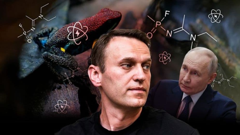 নাভালনি হত্যাকাণ্ডে নতুন মোড়, বেরিয়ে এল চাঞ্চল্যকর তথ্যImage