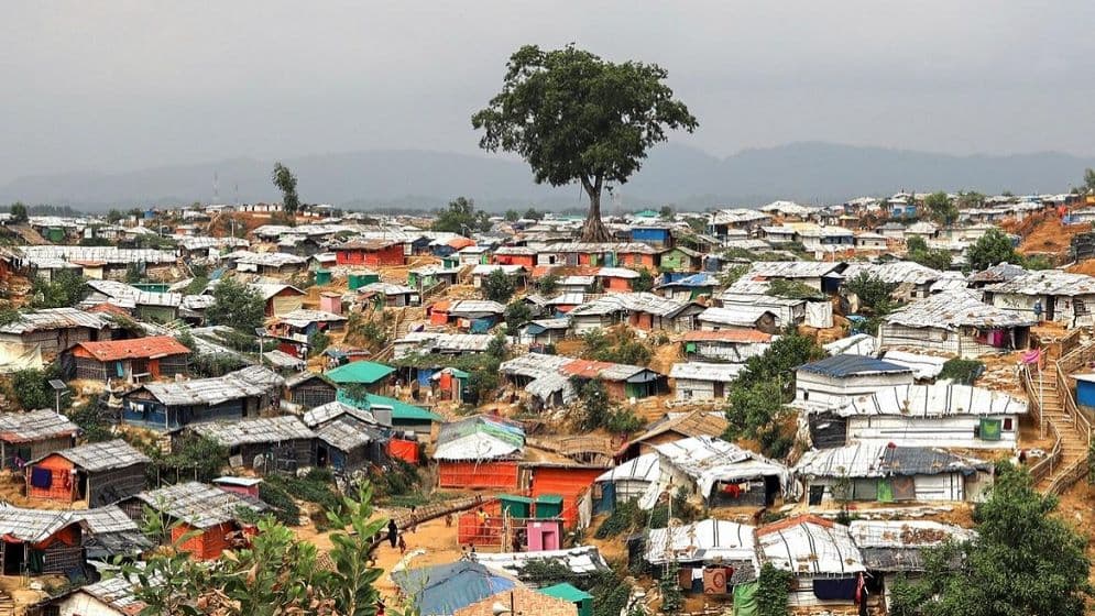 উখিয়ায় ১৫শ রোহিঙ্গা আটক, অভিযান চলছে