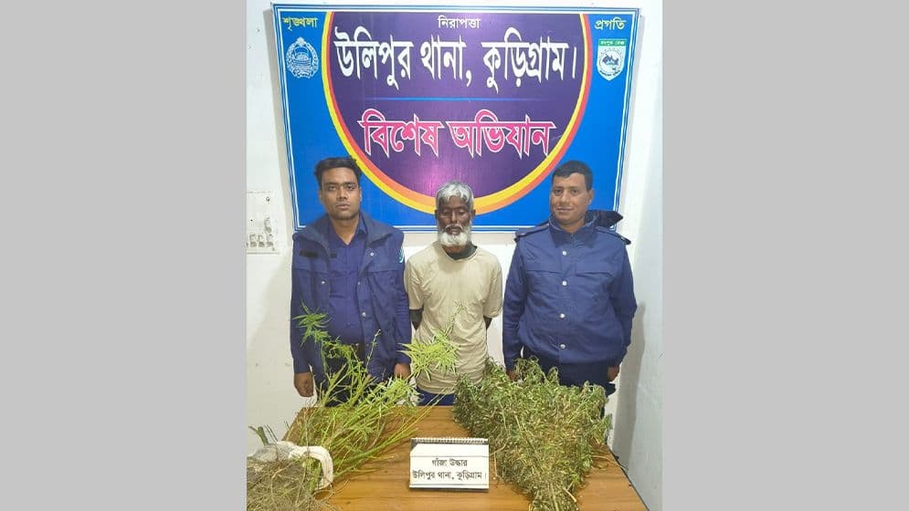 উলিপুরে বেগুন ক্ষেতে গাজা চাষের অভিযোগে একজন আটকImage