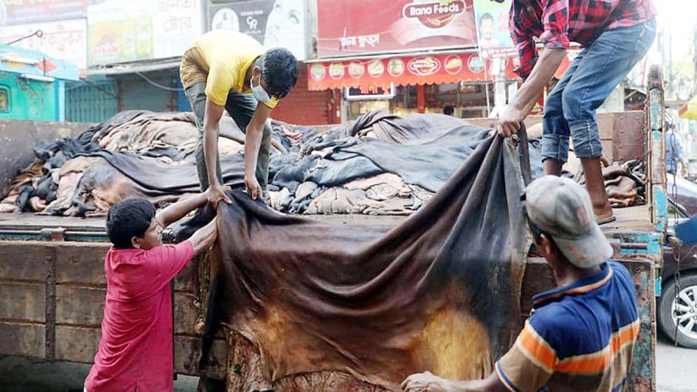 কুরবানির চামড়া নিয়ে এবারও বিপর্যয়ের শঙ্কা