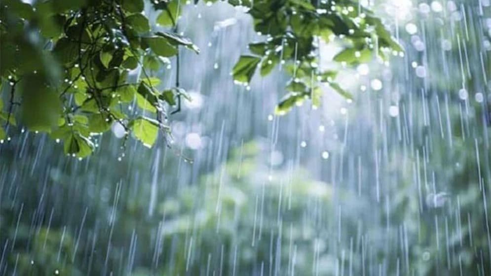 সিলেটে থামছে না বৃষ্টি, বন্যার আশঙ্কাImage