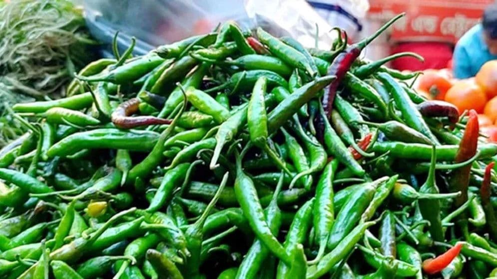 হু হু করে বাড়ছে কাঁচামরিচের দাম
