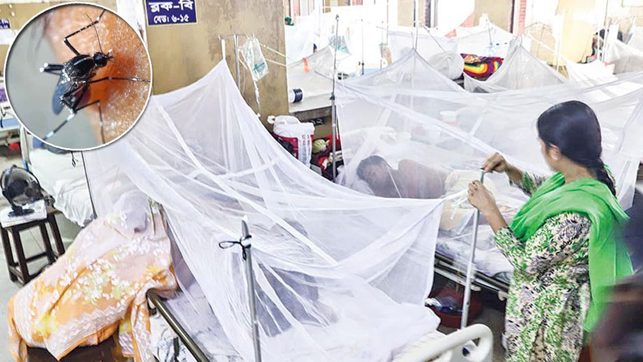ডেঙ্গু আক্রান্ত হয়ে হাসপাতালে ভর্তি ২৬৩Image