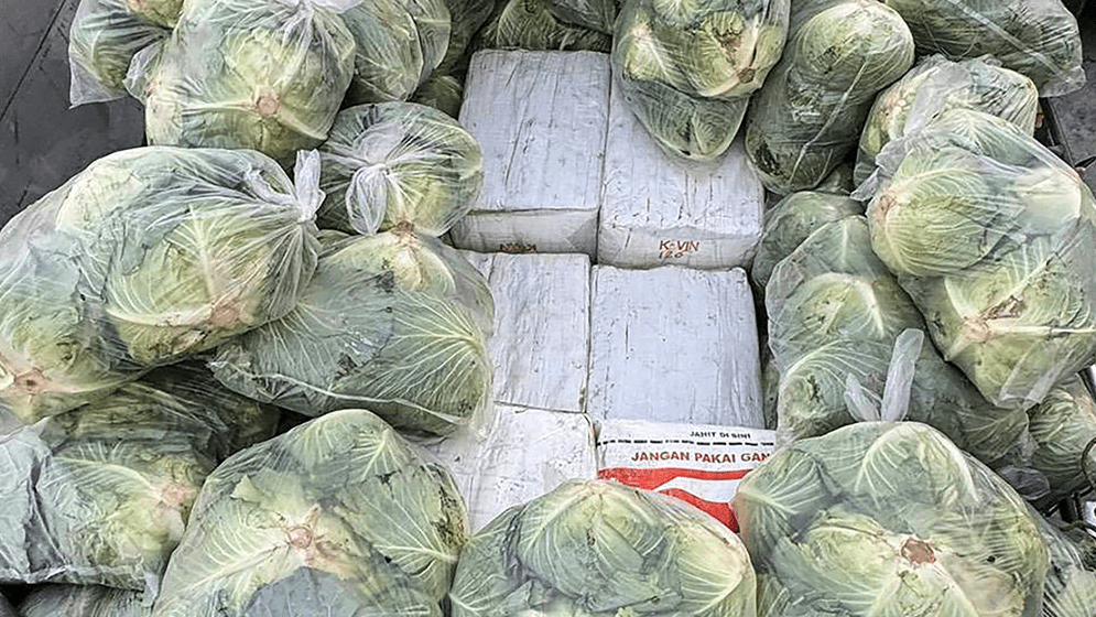 বাঁধাকপির বস্তার নিচে লুকিয়ে পাচারের সময় ১.৬ টন মাদক জব্দ