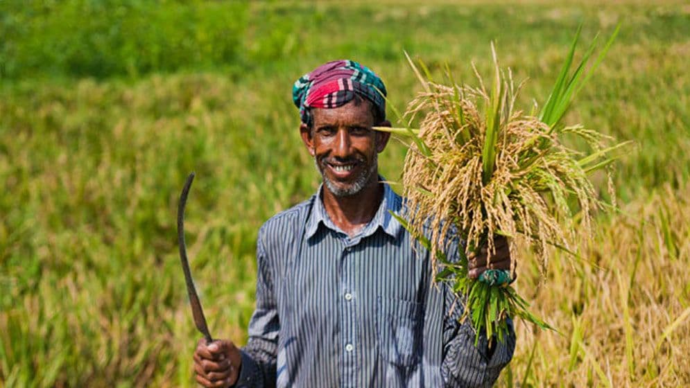 কৃষকদের ঋণ মওকুফে ১ হাজার ৫৬৭ কোটি টাকা বরাদ্দ